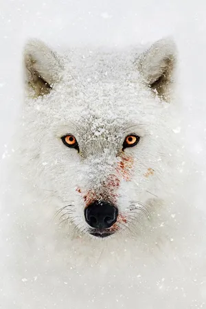 Hostile Planet