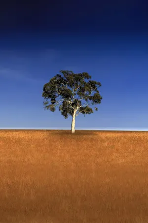 Who Do You Think You Are?