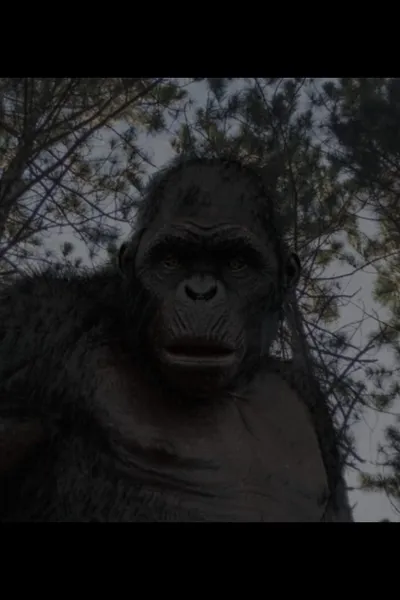 The Rise of the Beast