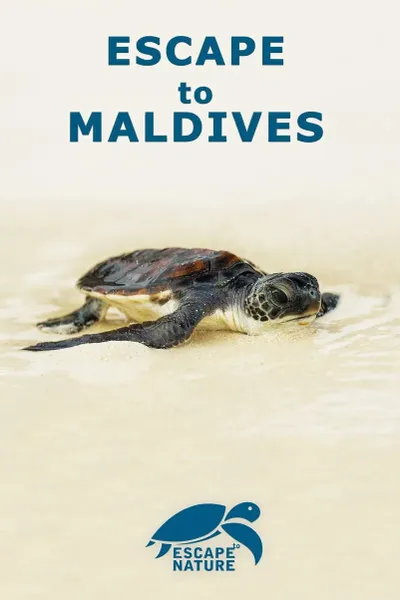 Escape to Maldives