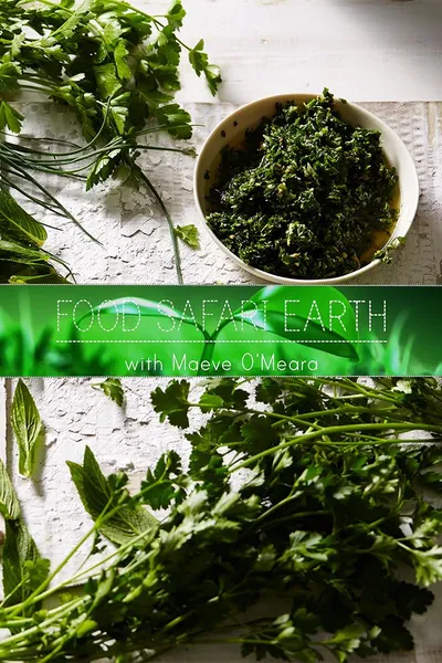 Food Safari Earth