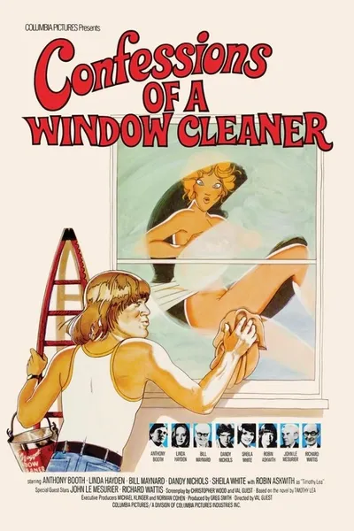 Confessions of a Window Cleaner